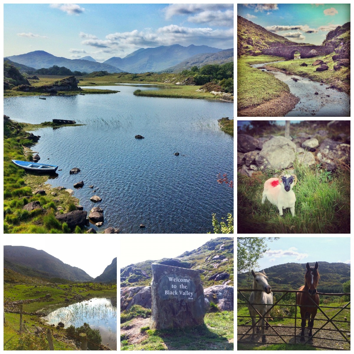PicMonkey Collage